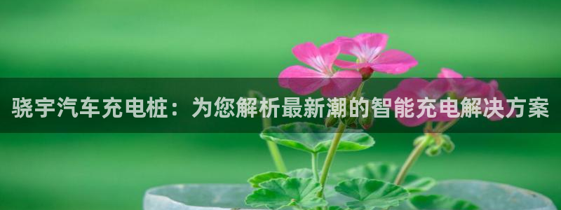 足球员威廉：骁宇汽车充电桩：为您解析最新潮的智能充电解决方案