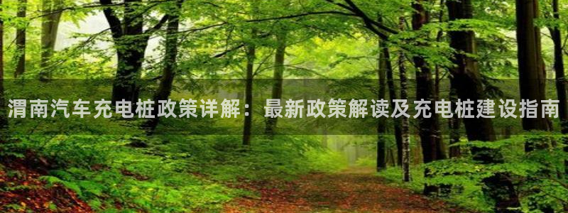 威廉娱乐圈是谁：渭南汽车充电桩政策详解：最新政策解读及充电桩建设指南