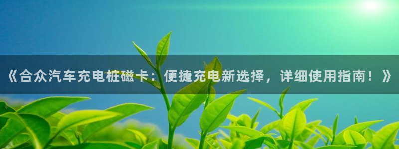威廉希尔williamhill：《合众汽车充电桩磁卡：便捷充电新选择，详细使用指南！》