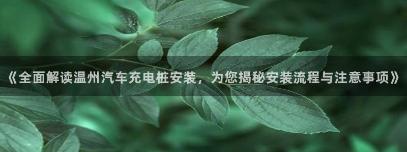 威廉与澳门盘到底看初盘还是怎么看：《全面解读温州汽车充电桩安装，为您揭秘安装流程与注意事项》