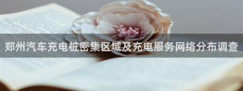威廉希尔官网版app：郑州汽车充电桩密集区域及充电服务网络分布调查