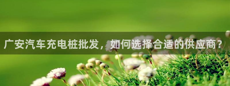 威廉希尔标准框架：广安汽车充电桩批发，如何选择合适的供应商？