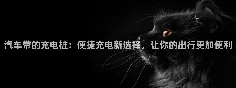 威廉希尔实体店：汽车带的充电桩：便捷充电新选择，让你的出行更加便利