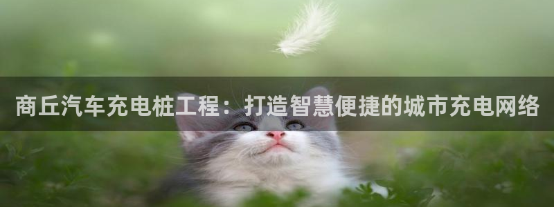 希尔顿威廉姆斯：商丘汽车充电桩工程：打造智慧便捷的城市充电网络