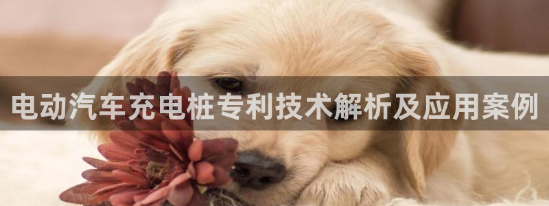 威廉希尔中文版：电动汽车充电桩专利技术解析及应用案例
