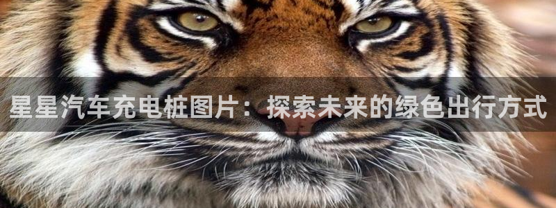 威廉希尔与立博技巧