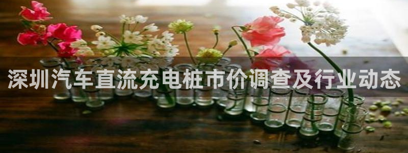 威廉希尔凯利指数怎么看：深圳汽车直流充电桩市价调查及行业动态