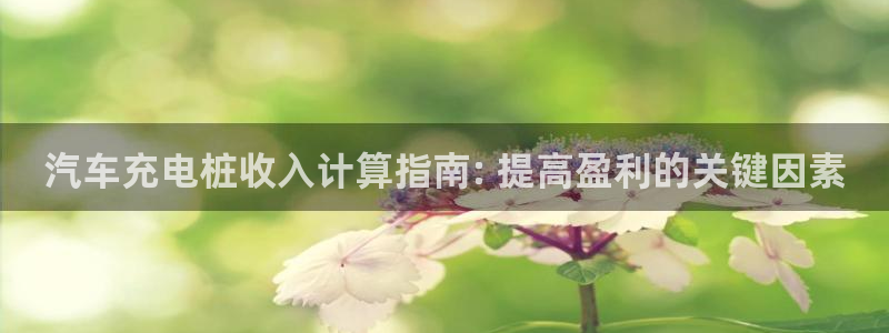 威廉希尔和立博怎么看：汽车充电桩收入计算指南: 提高盈利的关键因素