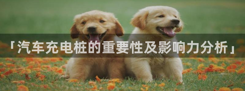 威廉比分