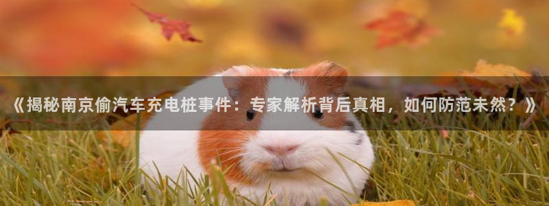 威廉希尔WilliamHill官方网站