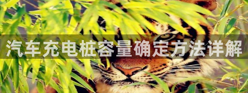 威廉希尔和立博怎么看