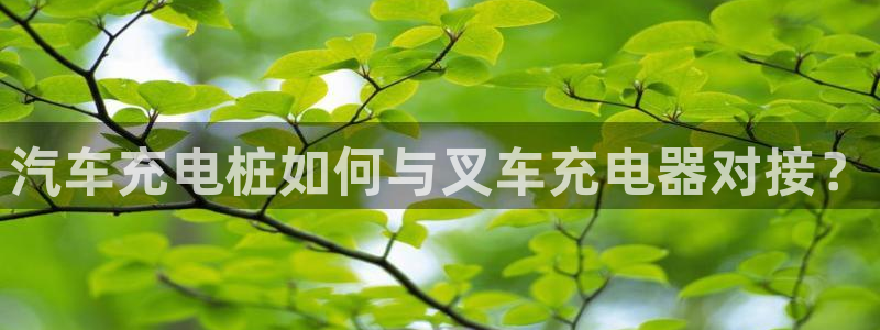威廉希尔是什么水平的公司啊：汽车充电桩如何与叉车充电器对接？