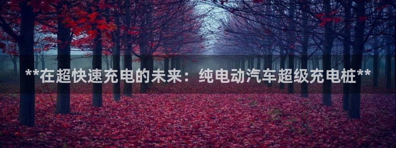 威廉国际平台有人玩过吗知乎：**在超快速充电的未来：纯电动汽车超级充电桩**