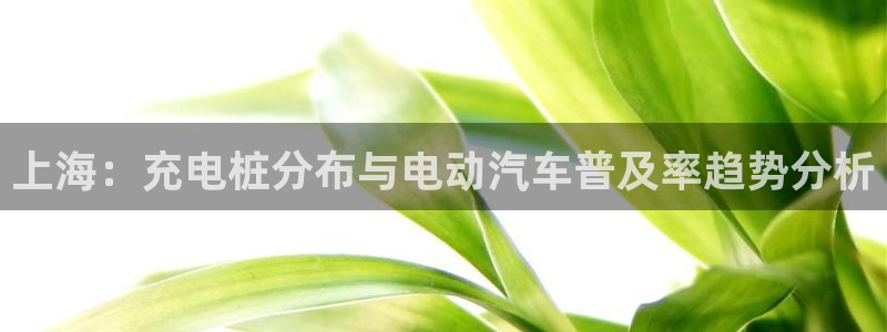 威廉足球运动员：上海：充电桩分布与电动汽车普及率趋势分析