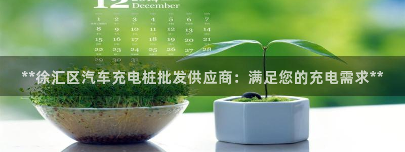 威廉希尔如何分析：**徐汇区汽车充电桩批发供应商：满足您的充电需求**