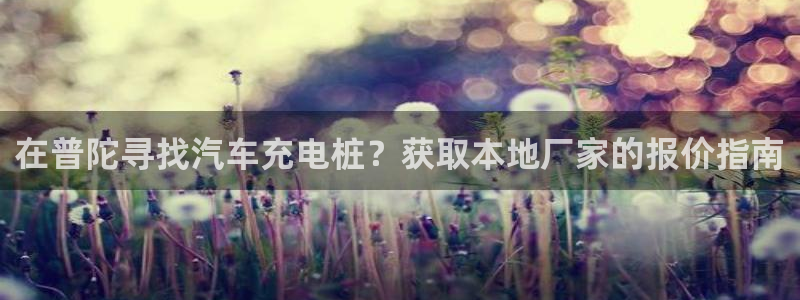 威廉与澳门盘的技巧：在普陀寻找汽车充电桩？获取本地厂家的报价指南
