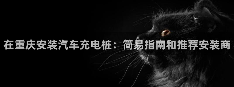 威廉希尔竞彩官方对比：在重庆安装汽车充电桩：简易指南和推荐安装商