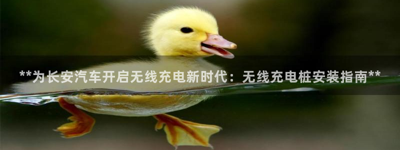 威廉希尔中国欢迎你：**为长安汽车开启无线充电新时代：无线充电桩安装指南**