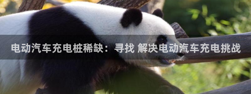 威廉希尔logo：电动汽车充电桩稀缺：寻找 解决电动汽车充电挑战