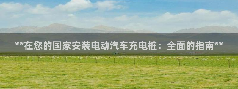 威廉篮球俱乐部：**在您的国家安装电动汽车充电桩：全面的指南**