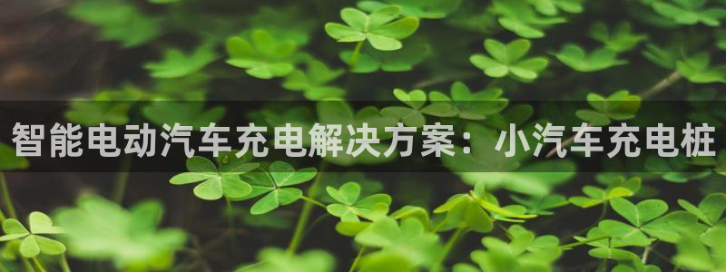 威廉希尔参考interwetten：智能电动汽车充电解决方案：小汽车充电桩