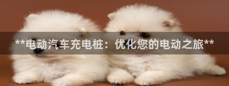 威廉希尔在国内能用吗：**电动汽车充电桩：优化您的电动之旅**