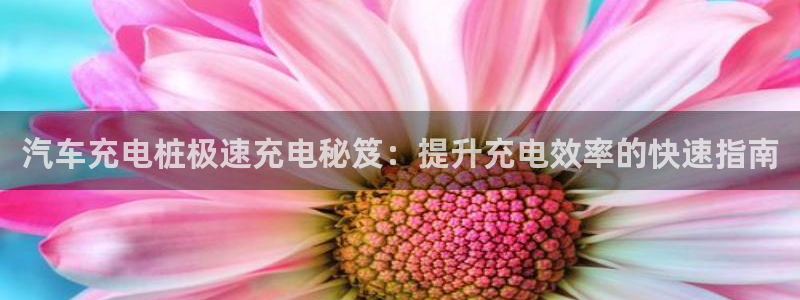 有没有威廉国际这个平台：汽车充电桩极速充电秘笈：提升充电效率的快速指南