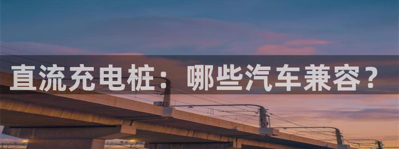 如何看懂威廉希尔指数：直流充电桩：哪些汽车兼容？