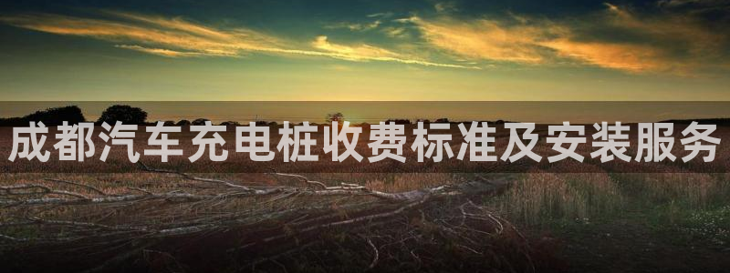 威廉希尔 1.44 3.80 6.50：成都汽车充电桩收费标准及安装服务