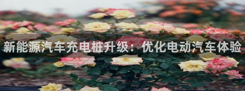威廉希尔亚盘开盘特点：新能源汽车充电桩升级：优化电动汽车体验