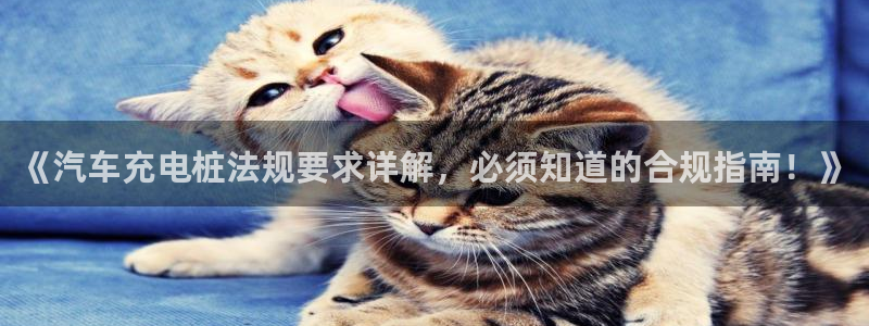 威廉希尔大小球指数怎么看：《汽车充电桩法规要求详解，必须知道的合规指南！》