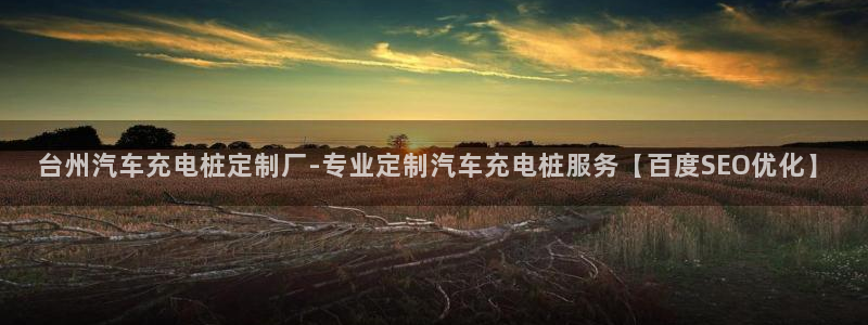 威廉和澳门：台州汽车充电桩定制厂-专业定制汽车充电桩服务【百度SEO优化】