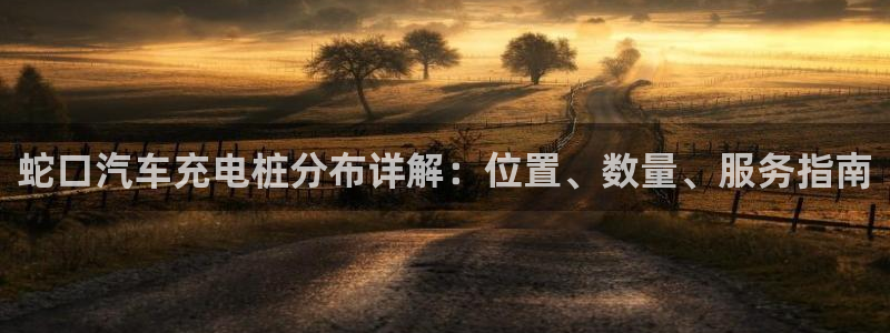 威廉cs：蛇口汽车充电桩分布详解：位置、数量、服务指南