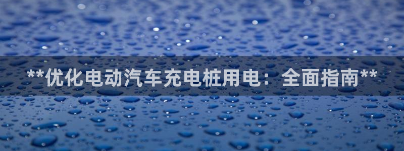 威廉希尔官网中威廉希尔官网中文：**优化电动汽车充电桩用电：全面指南**