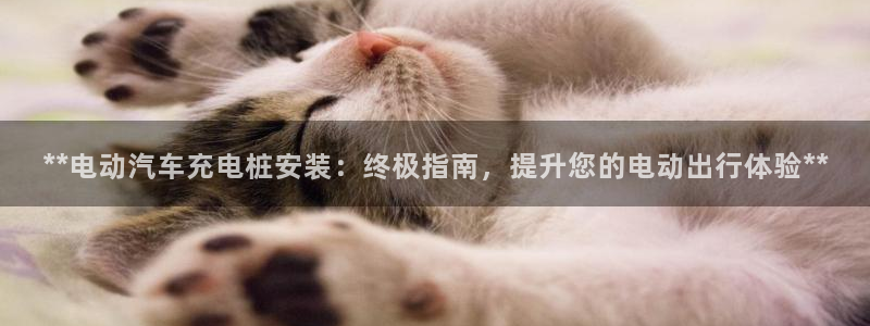 威廉看球：**电动汽车充电桩安装：终极指南，提升您的电动出行体验**