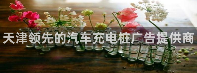 威廉希尔开盘数据：天津领先的汽车充电桩广告提供商