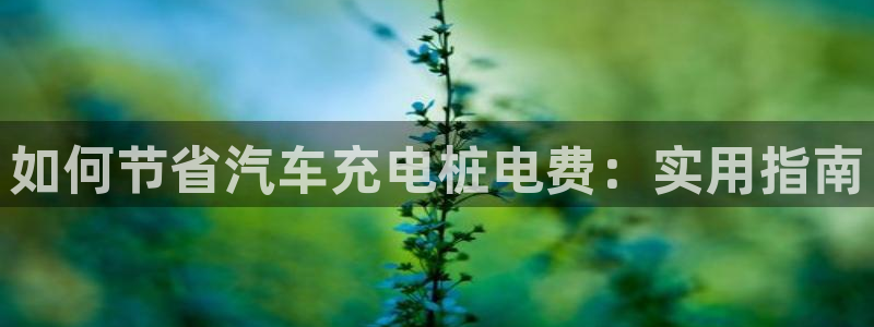 威廉希尔开盘思维：如何节省汽车充电桩电费：实用指南