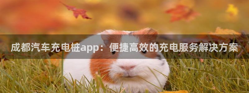 威廉指数配合什么使用比较准确：成都汽车充电桩app：便捷高效的充电服务解决方案