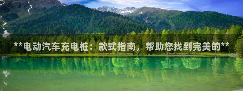 威廉希尔对比百家：**电动汽车充电桩：款式指南，帮助您找到完美的**