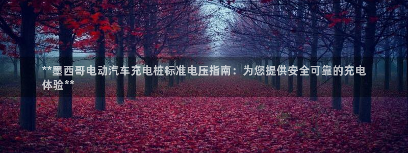 威廉希尔不开盘的比赛是什么结果呢：**墨西哥电动汽车充电桩标准电压指南：为您提供安全可靠的充电
体验**