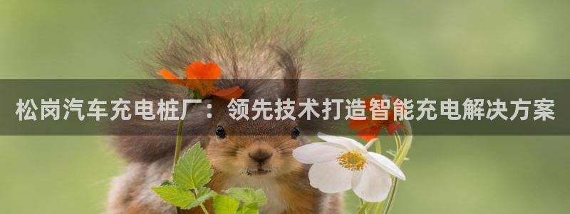 威廉指数100：松岗汽车充电桩厂：领先技术打造智能充电解决方案