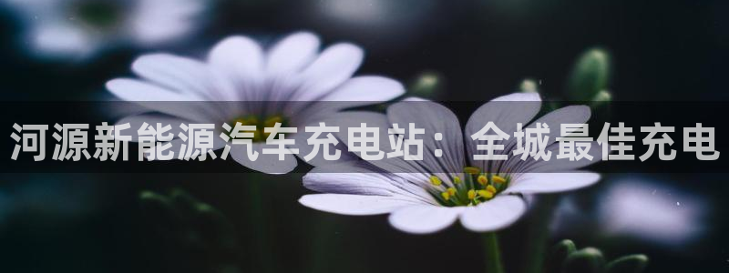 威廉希尔足球网指数：河源新能源汽车充电站：全城最佳充电