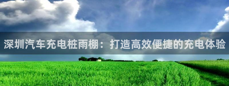 威廉指数配合什么使用比较准确：深圳汽车充