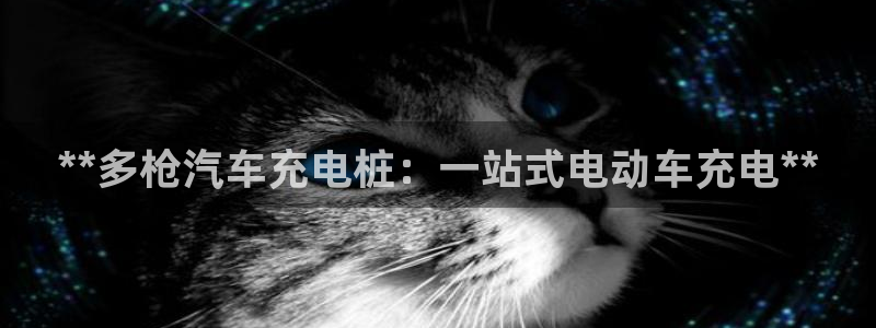 威廉体育官方app下载安装苹果：**多枪
