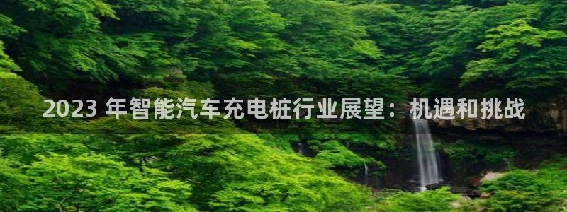 巴西甲威廉希尔初赔研究：2023 年智能汽车充电桩行业展望：机遇和挑战