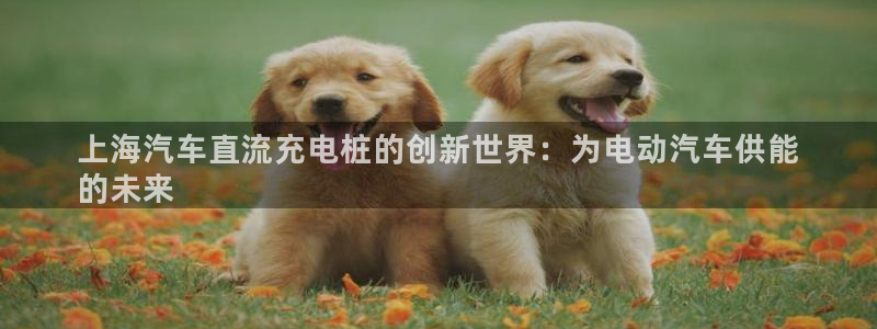 威廉希尔赢钱能提出来吗：上海汽车直流充电桩的创新世界：为电动汽车供能
的未来