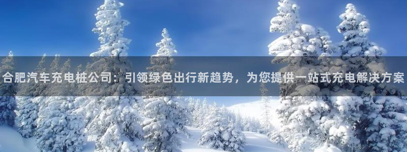 威廉希尔网站会不会取不了钱：合肥汽车充电桩公司：引领绿色出行新趋势，为您提供一站式充电解决方案