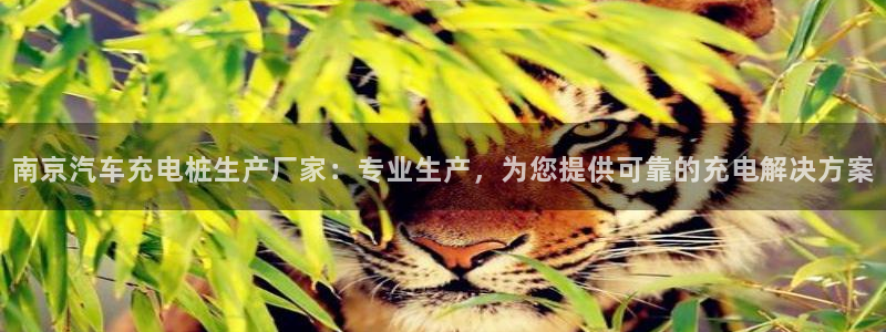 威廉希尔与立博技巧：南京汽车充电桩生产厂家：专业生产，为您提供可靠的充电解决方案