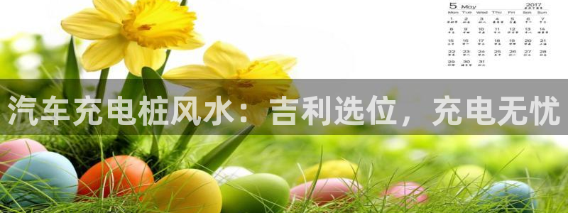 有没有威廉国际这个平台