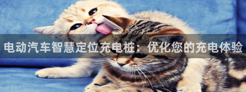 威廉希尔williamhill：电动汽车智慧定位充电桩：优化您的充电体验